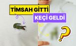 lacoste-logosunu-degistirdi-timsah-gitti-keci-geldi-p4XJlpa6.jpg