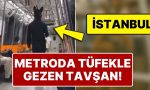 metroda-tavsan-maskesiyle-ve-elinde-tufekle-gezen-kisi-gozaltina-alindi-2SQCryNQ.jpg