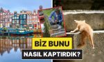 nasil-kaptirdik-amsterdam-sokak-kedileri-icin-ozel-merdivenler-insa-etmeye-basladi-eleBQUkU.jpg