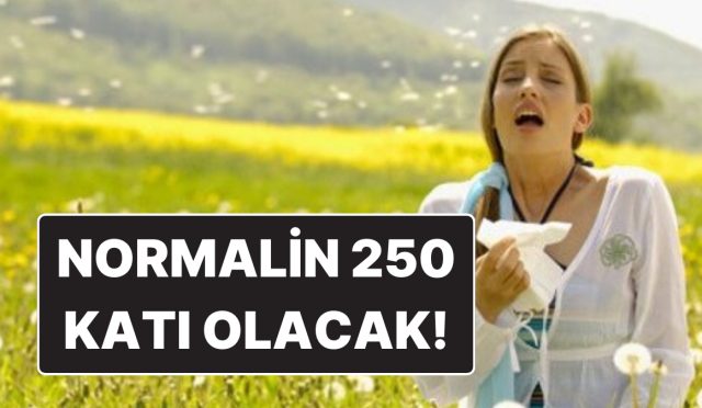 olaganin-250-kati-olacak-cuma-ve-cumartesi-yurt-genelinde-tesirli-olacak-polen-salinimi-E2mnMf9T.jpg