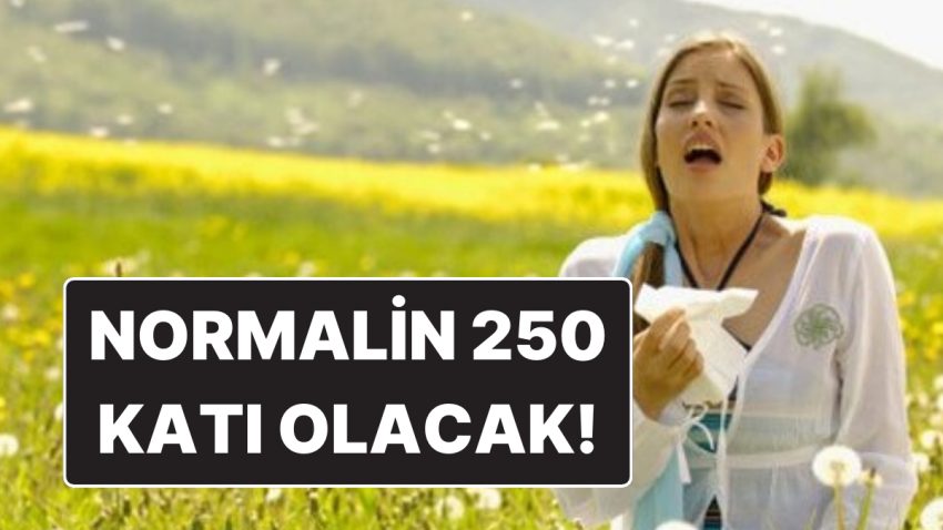 Olağanın 250 Katı Olacak: Cuma ve Cumartesi Yurt Genelinde Tesirli Olacak Polen Salınımı