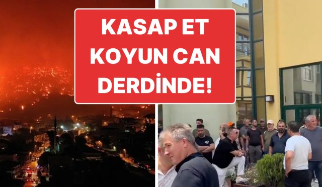 orman-yangini-sonrasi-av-yasagi-gelmisti-avcilar-yasagin-kalkmasi-icin-hareket-yapti-6JPnDL3P.jpg