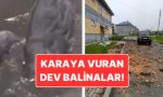 rusyada-88-buyuklugunde-sarsinti-zelzele-aninda-cekilen-vahim-goruntuler-LIwkujHl.jpg