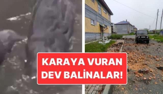 rusyada-88-buyuklugunde-sarsinti-zelzele-aninda-cekilen-vahim-goruntuler-LIwkujHl.jpg