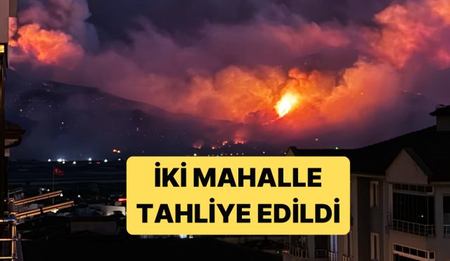 sakaryadaki-yangin-yerlesim-yerleri-ve-tarim-yerlerine-sicradi-SUHWa9Ig.jpg