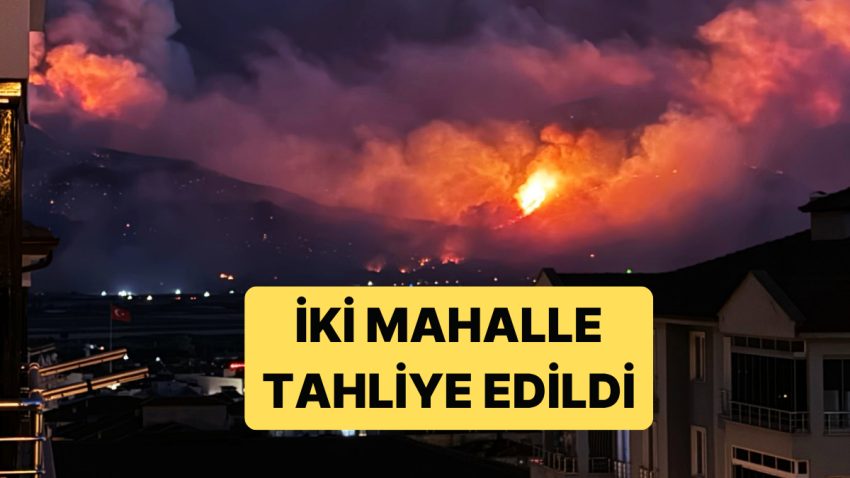 Sakarya’daki Yangın Yerleşim Yerleri ve Tarım Yerlerine Sıçradı