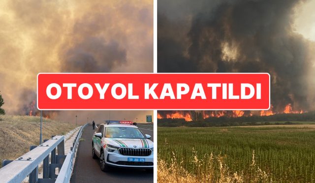 tekirdagdaki-yangin-canakkaleye-sicramisti-malkara-canakkale-otoyolunun-bir-kismi-kapatildi-wqeVyycB.jpg