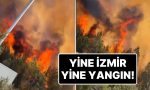 tekrar-izmir-tekrar-yangin-bornovada-orman-yangini-cikti-etraf-yolu-trafige-kapatildi-gIaRTKgb.jpg