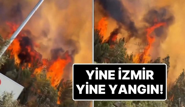 tekrar-izmir-tekrar-yangin-bornovada-orman-yangini-cikti-etraf-yolu-trafige-kapatildi-gIaRTKgb.jpg