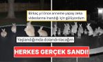 trambolinde-ziplayan-tavsanlarin-goruntusu-butun-internet-alemini-kandirdi-tsM5h6Rz.jpg