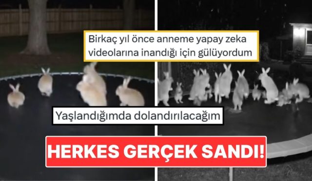 trambolinde-ziplayan-tavsanlarin-goruntusu-butun-internet-alemini-kandirdi-tsM5h6Rz.jpg