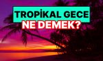 tropikal-gece-ne-demek-tropikal-gece-tesiri-nedir-e48wVU4X.jpg