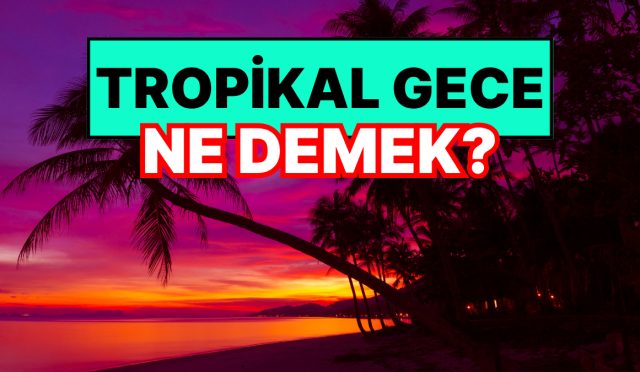 tropikal-gece-ne-demek-tropikal-gece-tesiri-nedir-e48wVU4X.jpg