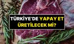 turkiyede-yapay-et-uretilecek-mi-resmi-aciklama-geldi-sNxsDBHC.jpg