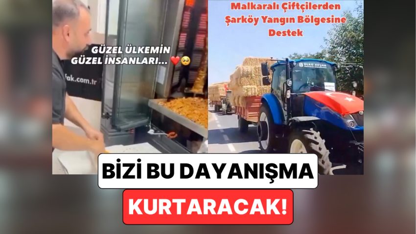 Ülkemizin Dört Bir Yanı Yangın ile Uğraş Ederken Elini Taşın Altına Koyan Vatandaşlar Umutları Yeşertti