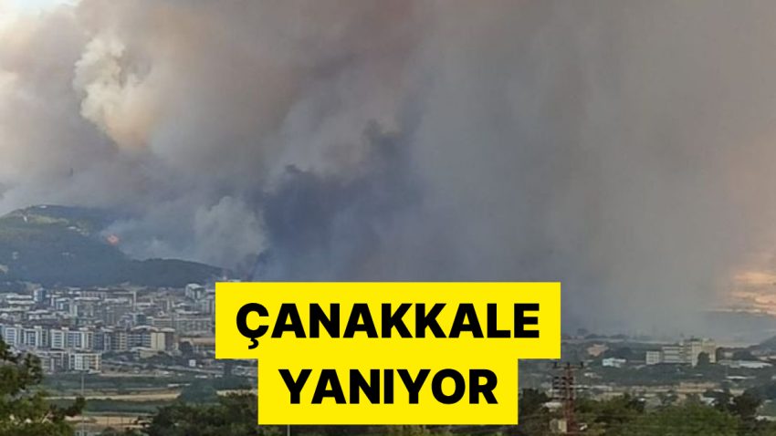 Üniversite ve Hastane Boşaltılıyor! Çanakkale’de Başlayan Orman Yangını Yerleşim Yerlerine Yaklaştı