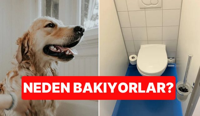 uzman-acikladi-kopeginiz-tuvaletini-yaparken-size-neden-bakar-5mnnyqkW.jpg