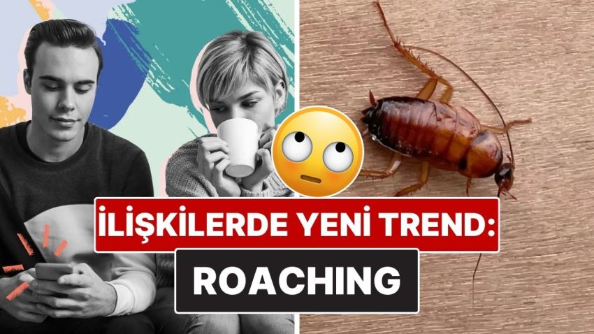 Yeni Bağ Trendi Alarmı! Bağlarda “Roaching” Ne Demek?