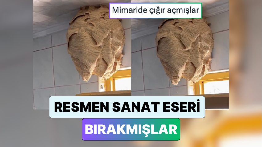 Yeni Fobi Yüklendi: İki Aydır Tatilde Olan Aile Döndüklerinde Hiç Beklemedikleri Bir Görünümle Karşılaştı