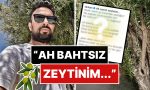 zeytinliklerin-imara-acilmasina-sonlanan-tarkan-zeytinler-icin-yazdigi-siiri-paylasti-KjxCDCT2.jpg
