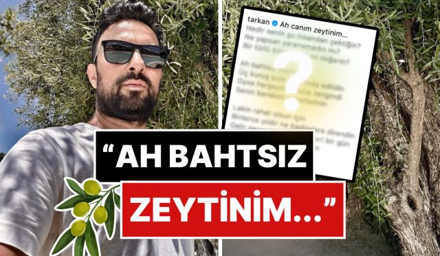 zeytinliklerin-imara-acilmasina-sonlanan-tarkan-zeytinler-icin-yazdigi-siiri-paylasti-KjxCDCT2.jpg
