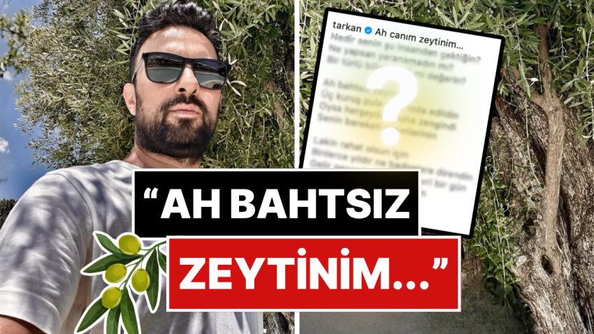Zeytinliklerin İmara Açılmasına Sonlanan Tarkan, Zeytinler İçin Yazdığı Şiiri Paylaştı